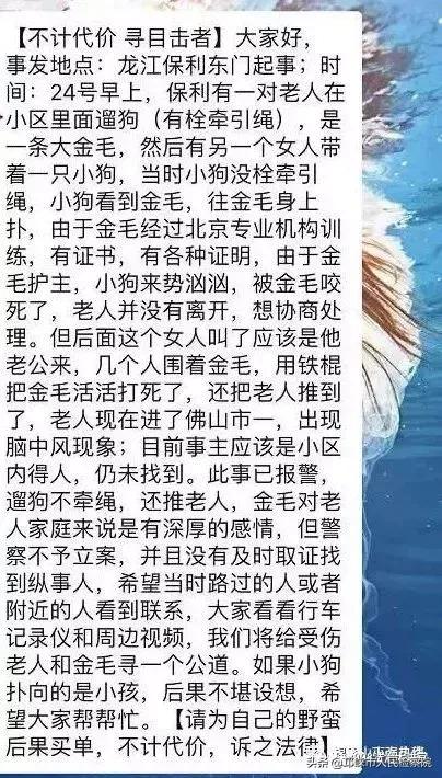 金毛咬死泰迪被打死后续,金毛咬死小狗被小狗主人打死