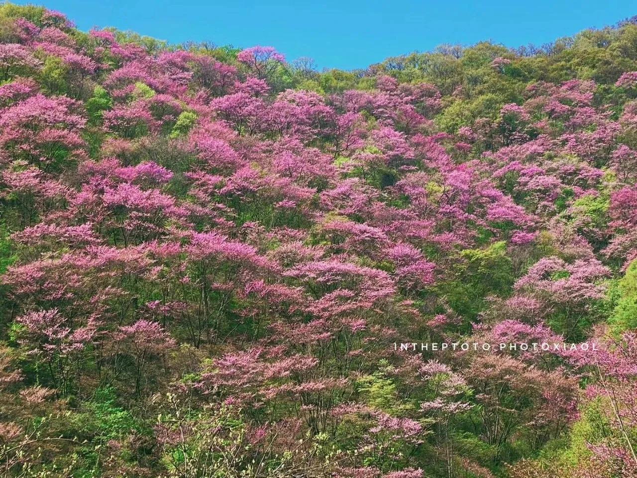 西安小众旅游,西安周边旅游3-4天攻略最佳线路