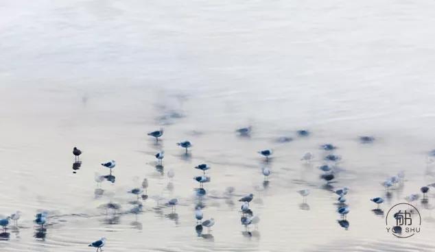 寡到极致的文案,极致深度好文
