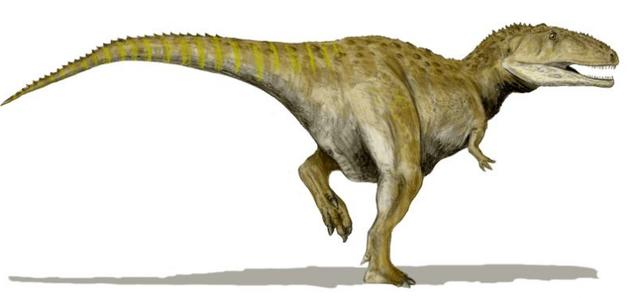 所有恐龙大小排行榜图,侏罗纪世界游戏恐龙排行榜