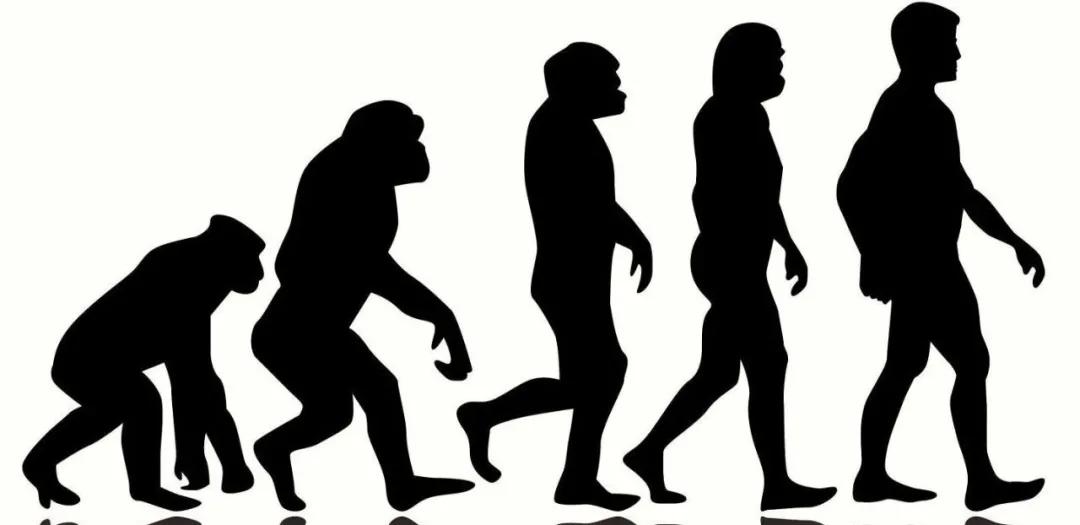 八年级生物达尔文进化论视频讲解,达尔文生物进化论详解考点