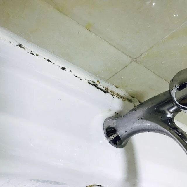 什么样的玻璃胶后期不会发霉,好的玻璃胶真的不发霉吗