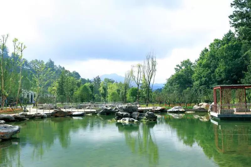 黔南4a级景区学校,都匀公办学校建在哪里