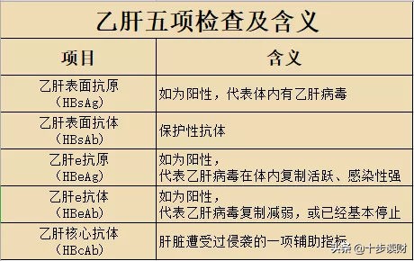 乙肝病毒携带者可以买保险吗,乙肝携带者买保险以后会不会拒赔