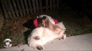 大白狗在公园交了“女友”，拒绝跟主人回家：感觉失恋了