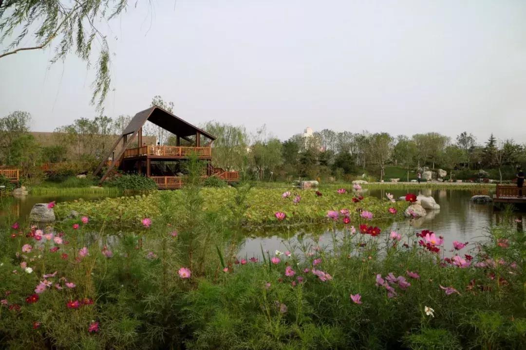 寸土寸金公园,天津值得一去的公园