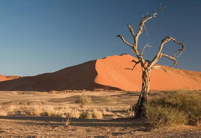一半是沙漠一半是绿洲,一半沙漠一半海洋