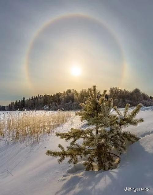 摄影阳光教程,摄影技巧阳光灿烂的日子