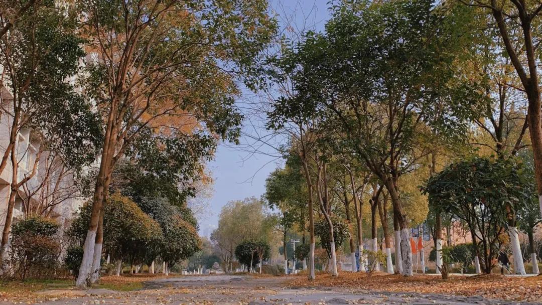 湖北国土资源职业学院单招报名费,湖北国土资源职业学院单招容易吗