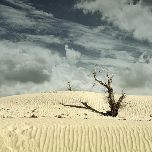 美得让人窒息的诗词,美得让人窒息的唐诗宋词