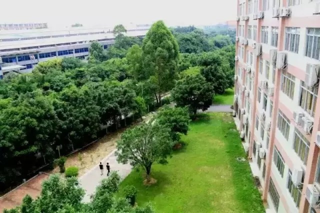 广东省建设职业技术学院高职高考,广东建设职业技术学院招生简章