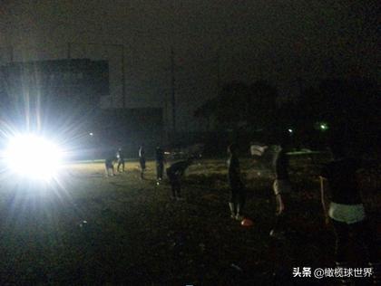 rugby2019,rugby怎么玩