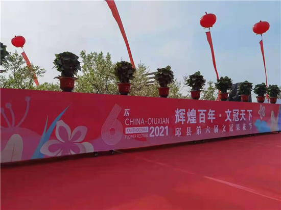 邱县第五届文冠果花节,邱县文冠花节掠影