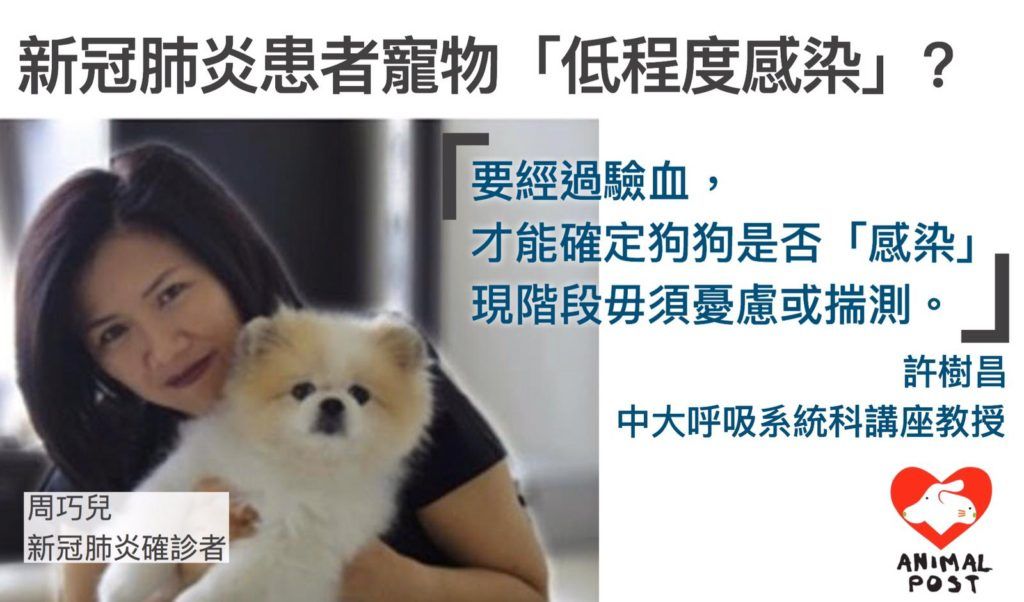 开心香港,香港检测宠物狗新冠测试呈弱阳性