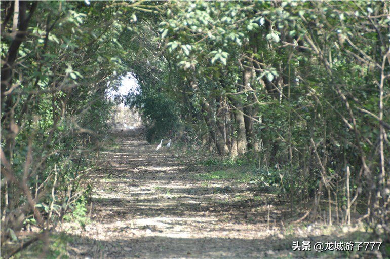 重游天一度假村,重游旧地去哪玩