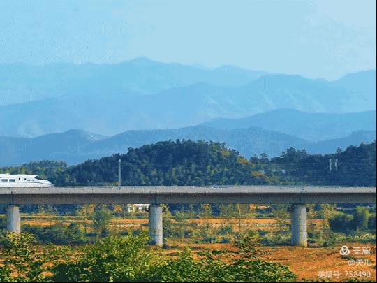 千岛湖的移民都去了哪些地方,千岛湖移民历史记录