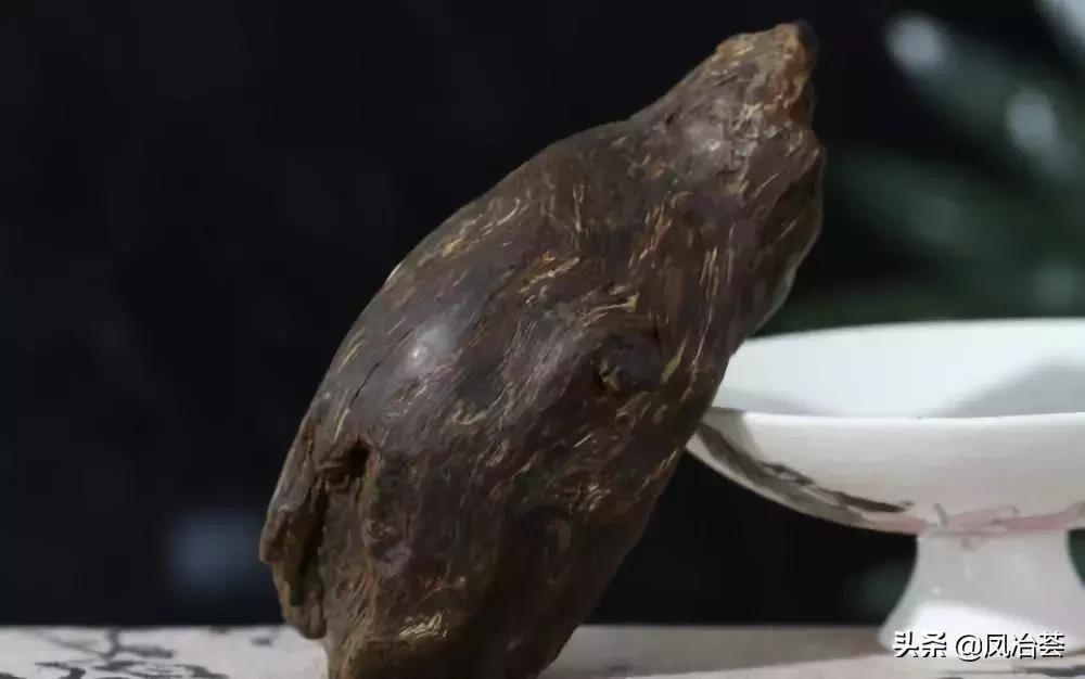 穿越千年的枫香,穿越千年古树