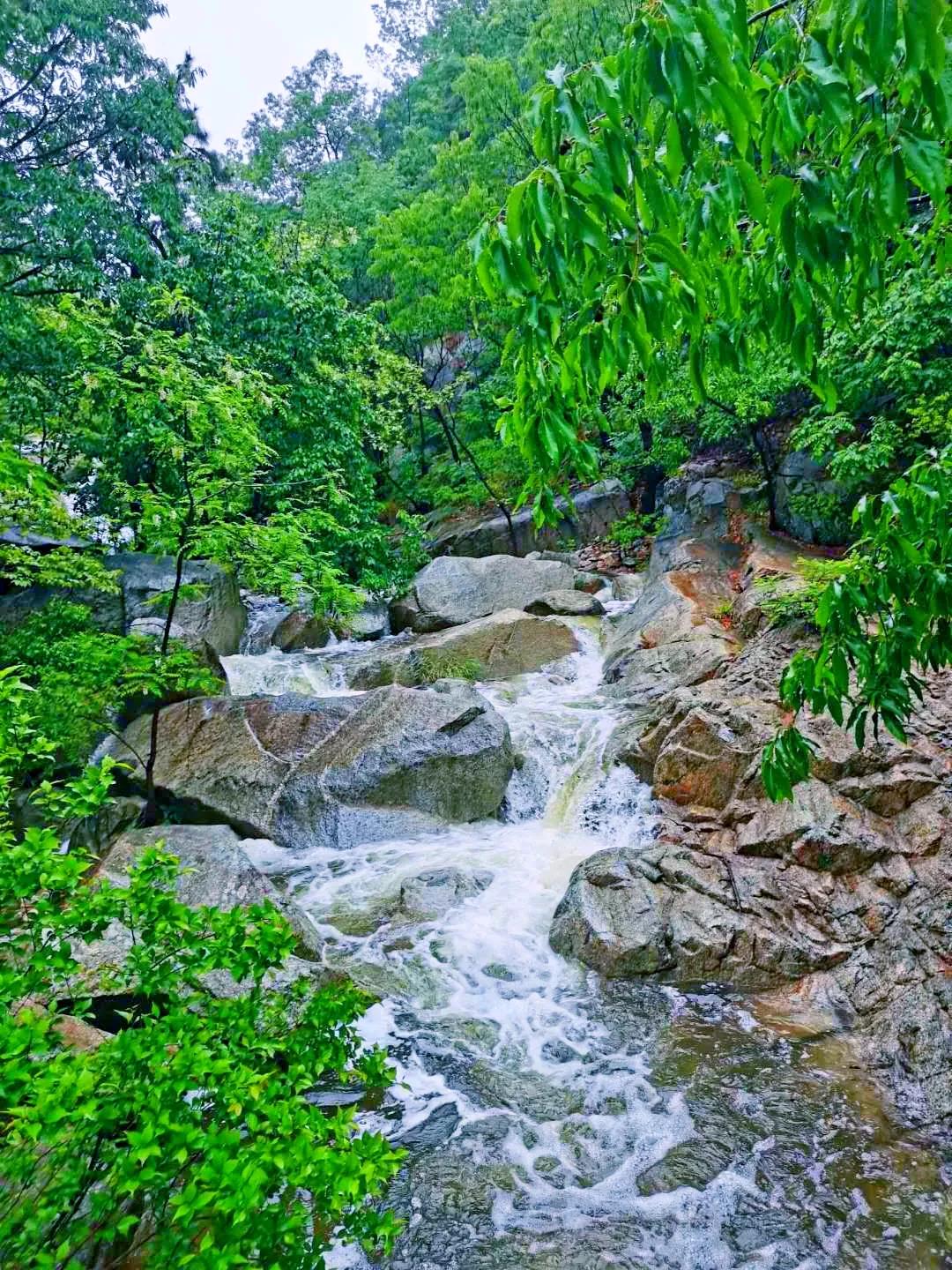 媲美四川九寨沟！山东这些地方野趣十足，承包夏天90%的清凉！