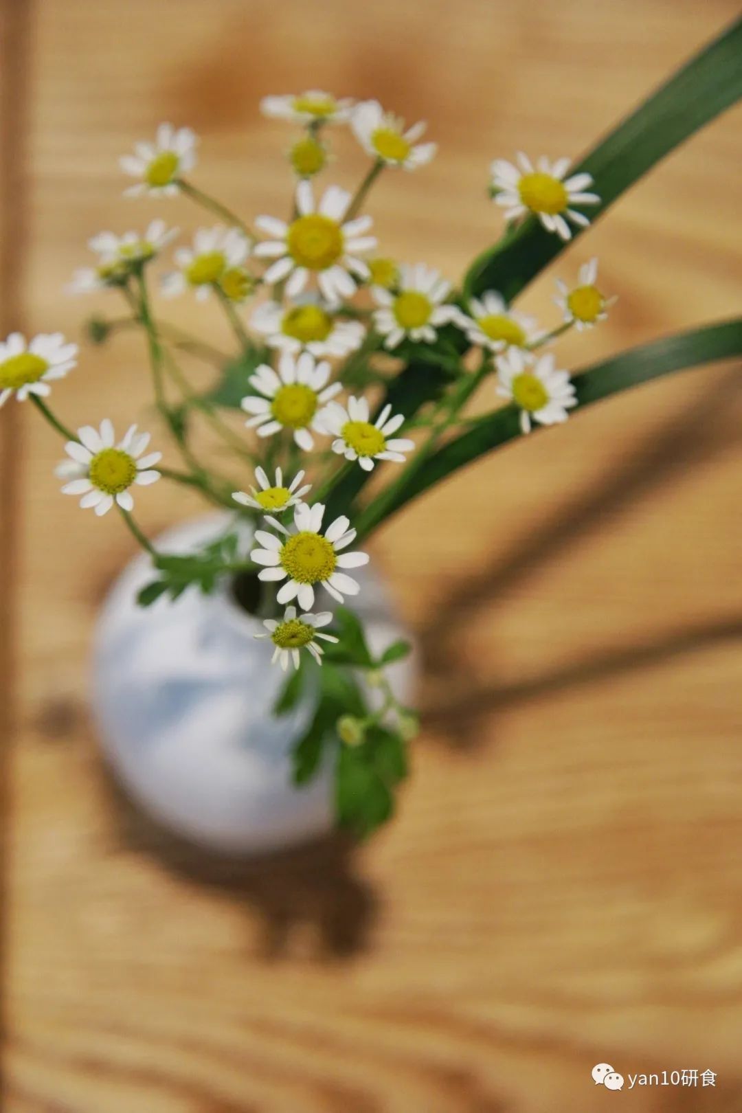 趁没红前，先试为敬，北欧风，法餐调，本土食材演绎的新派中餐