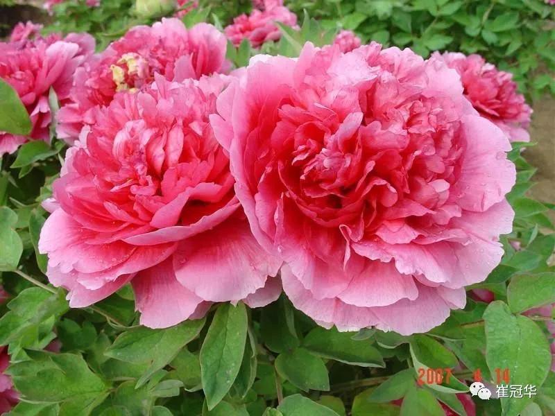 欧阳修袁枚,韩愈袁枚和欧阳修