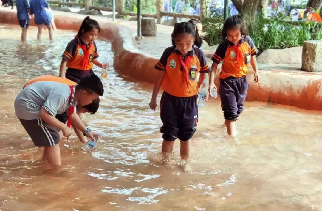 深圳小学择校,深圳择校