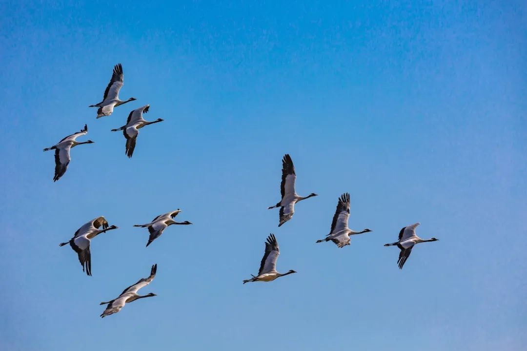 山东这两座小城，集齐了所有令人向往的美景，超级适合自驾！