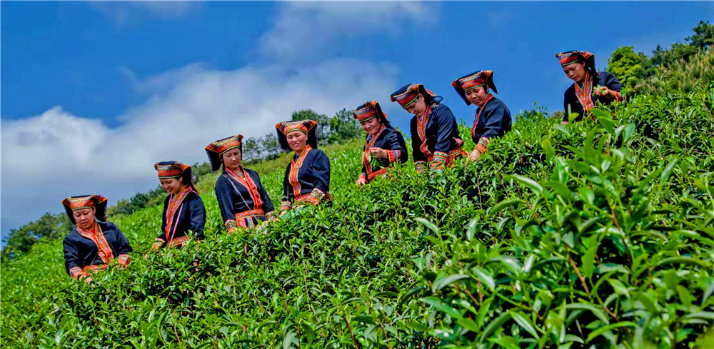 桂林藏在山洞里的油茶店,桂林开在半山腰的油茶店