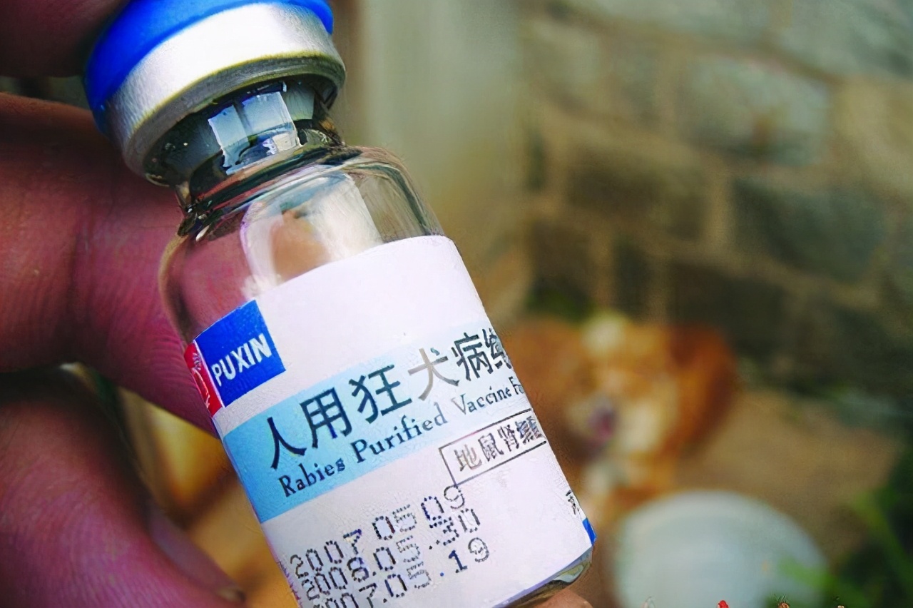 狂犬疫苗紧缺吗2021,为什么有狂犬疫苗狂犬病却治不好