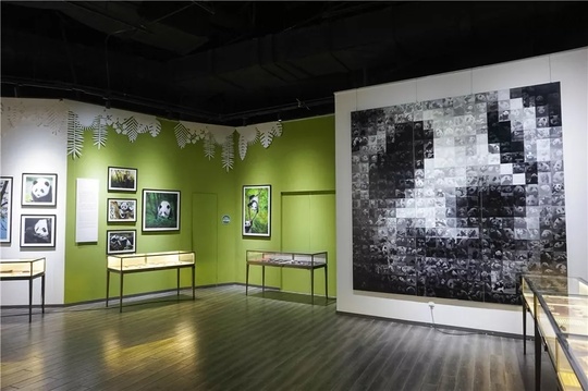 在成都生活如此的美好,在成都生活真好