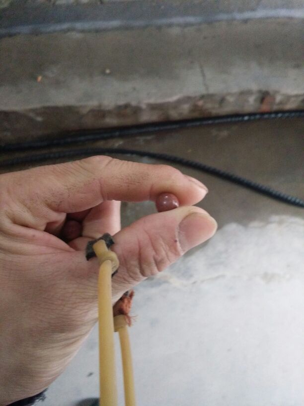 传统圆皮筋弹弓教学视频,原皮无架弹弓如何架手