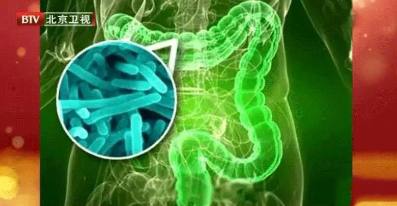 益生菌如何在肠道中发挥功效,益生菌在肠道是如何发挥作用的