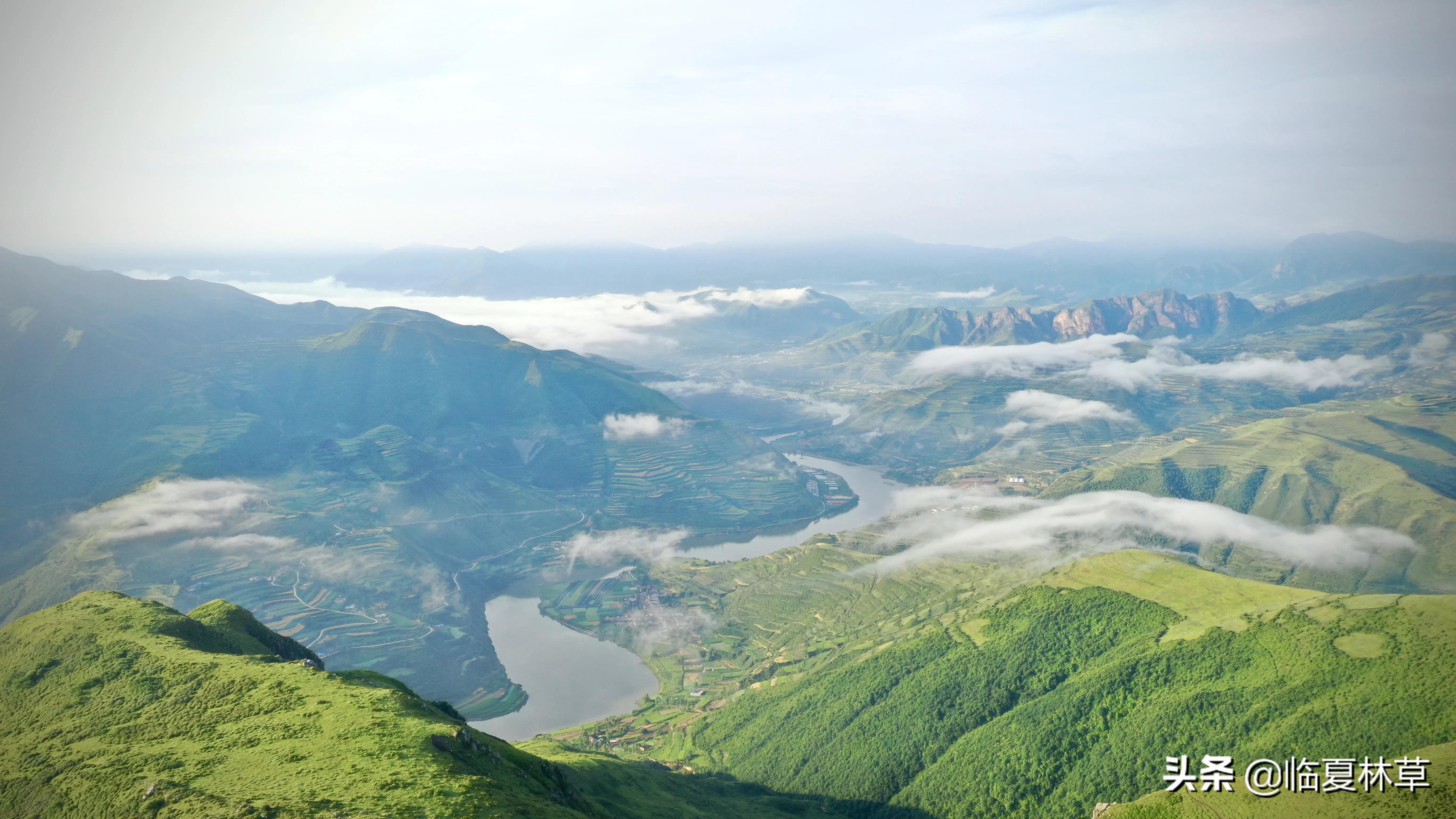 林草业务知识,林草局专业知识