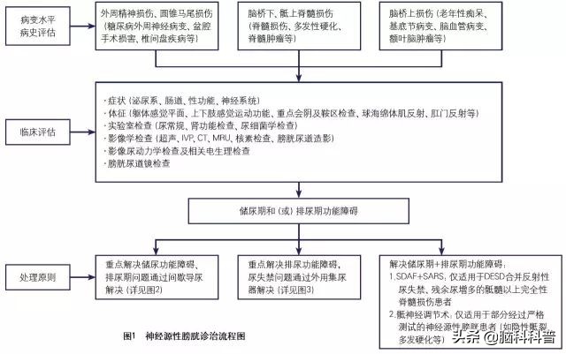 神经源性膀胱患者治愈采访,神经源性膀胱康复案例