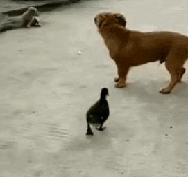 第一次人机大战电影,第一次人机战争