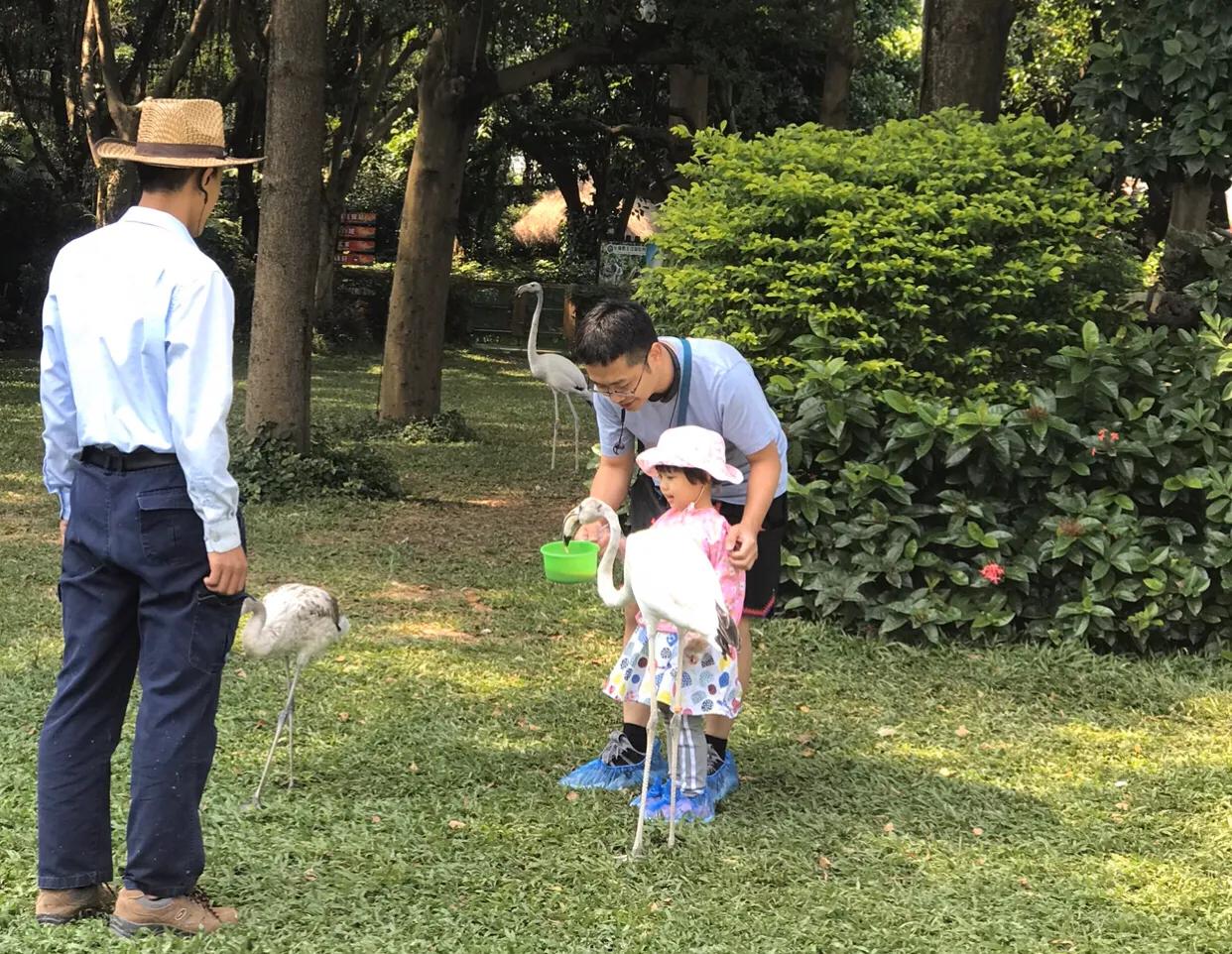 长隆飞鸟乐园拍鸟攻略,广州长隆飞鸟乐园可以摸哪些鸟