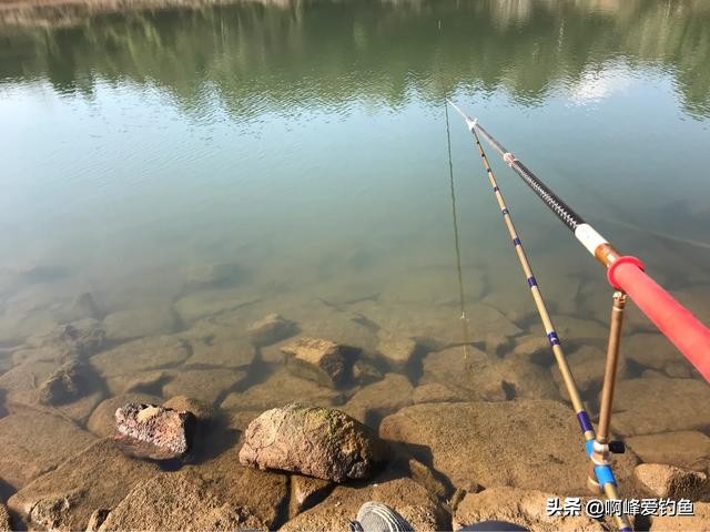 过春守大鲤,万万想不到钓了一尾神兽,你们认识这是什么吗?