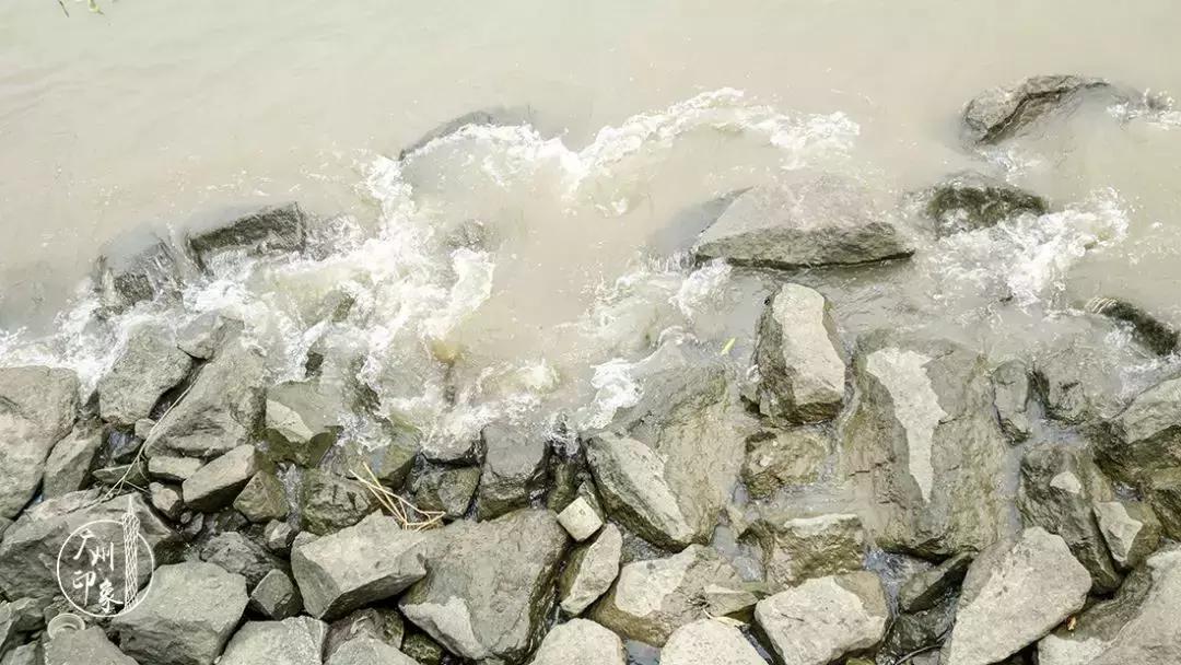 广州隐世峡谷游玩攻略,广州要坐船才能登的小岛