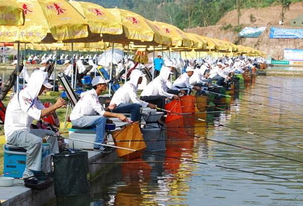 同样的配方同样的感觉,同样的配方为什么价钱不一样
