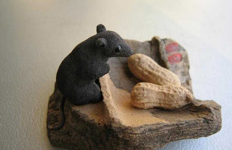 说文解字第214课细说止字,说文解字第227课细说迹字