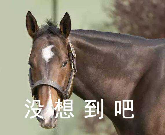 走心文案让自己朋友圈更有范儿,20条2022适合发朋友圈文案