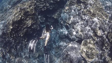帕劳岛自由行潜水,帕劳水母湖自由潜视频