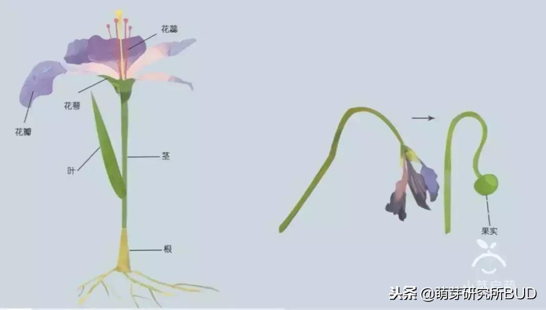 用身边的东西创艺术,用身边常见的物品创造出令人惊喜