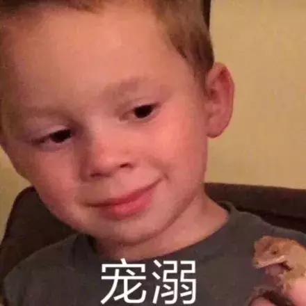 高等数学概率论线性代数难度排行,高等数学线性代数统计学