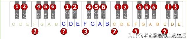电子琴母亲0基础指法,学习电子琴音阶指法