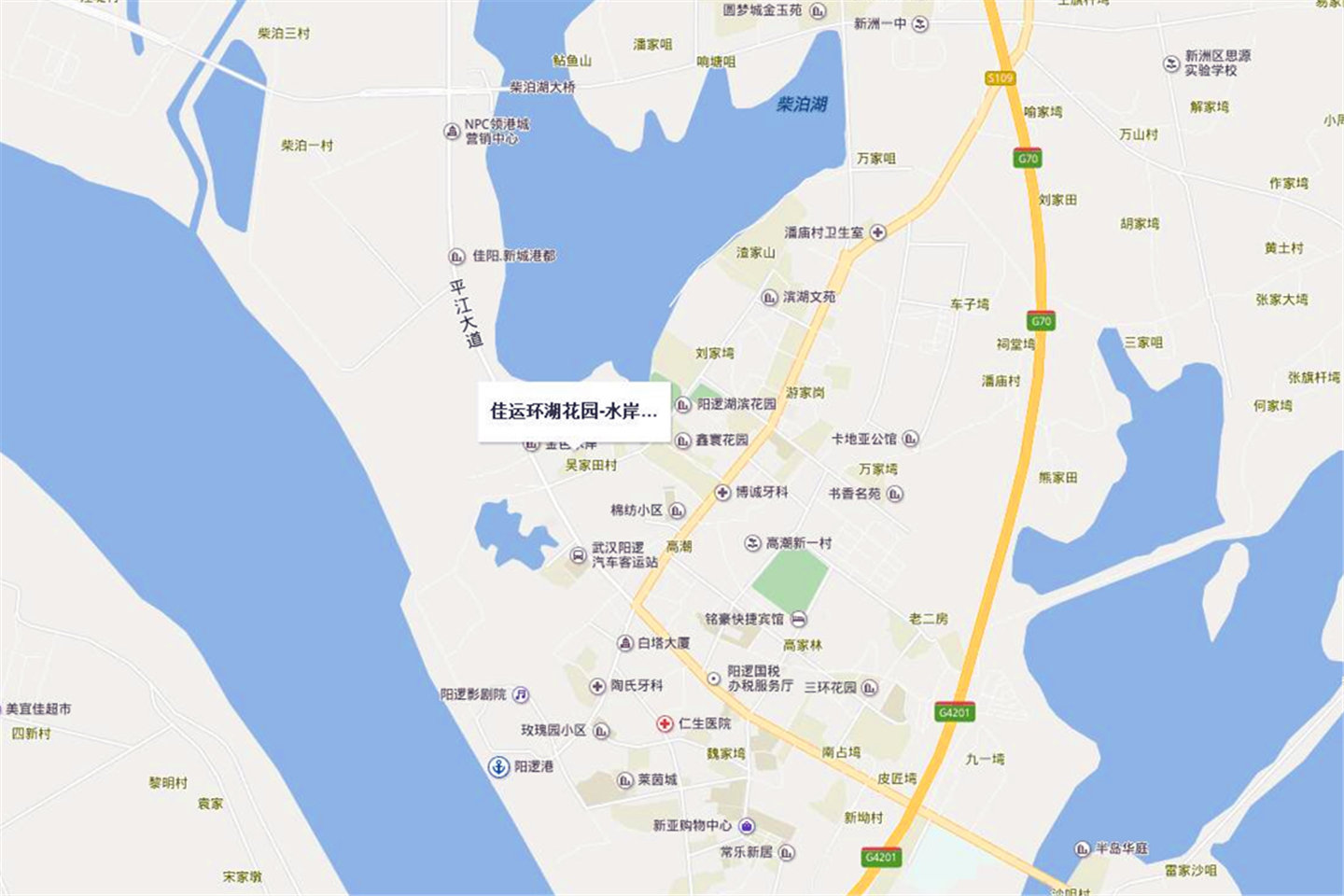 真香预警！不限购+低单价，投资新洲必看项目之一