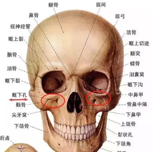 眼袋重显老去眼袋的方法,眼袋很重怎么治
