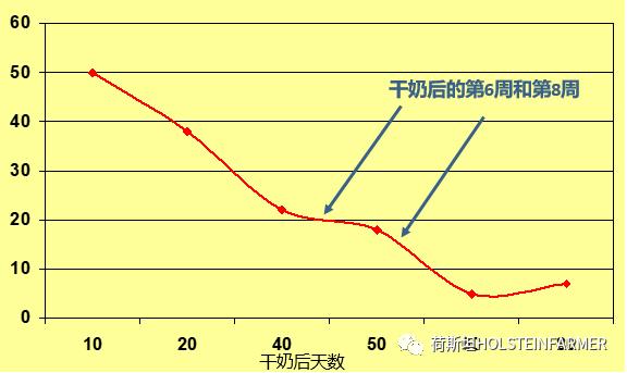 PeterEdmondson博士：乳房炎防控之干奶期管理