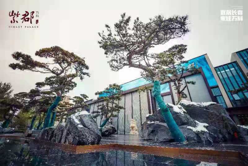 造园筑境，启卷东方，万科紫郡倾城盛启