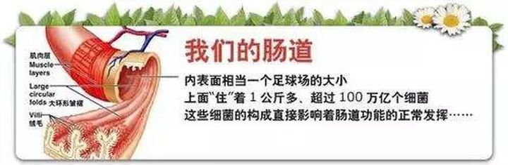 如何分辨肠道是否健康,肠道疾病怎样识别