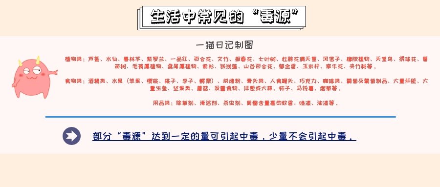 猫咪怀孕期间大便带血,猫咪大便末端有一段黏液血